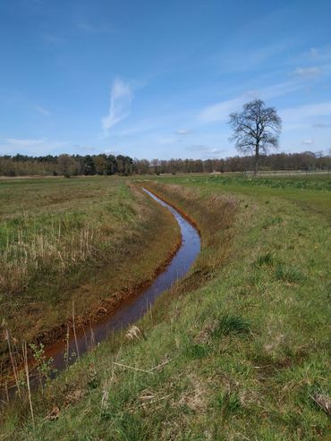 De Blankenaartloop doorsnijdt de Lange Gooren en loopt zowel door laagtes als door de tussenliggende zandruggen. De waterloop draineert ijzerrijk grondwater en voert dat af, zoals te zien op de foto. De afvoer van de waterloop is grillig aangezien ze sterk wordt bepaald door neerslaggebeurtenissen