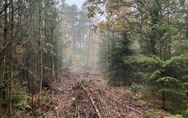 Dunningspad landgoed Biesterije