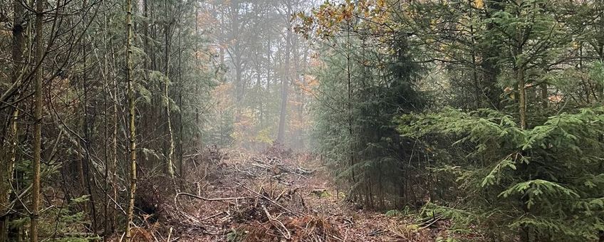 Dunningspad landgoed Biesterije