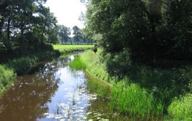 De Hagmolenbeek nabij Bentelo