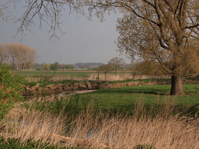 De Roer stroomt in Midden-Limburg door een mooi en idyllisch landschap, waar variatie zorgt voor hoge soortenrijkdom 
