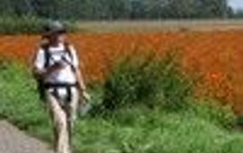 veling vlinderwandelweekend klein
