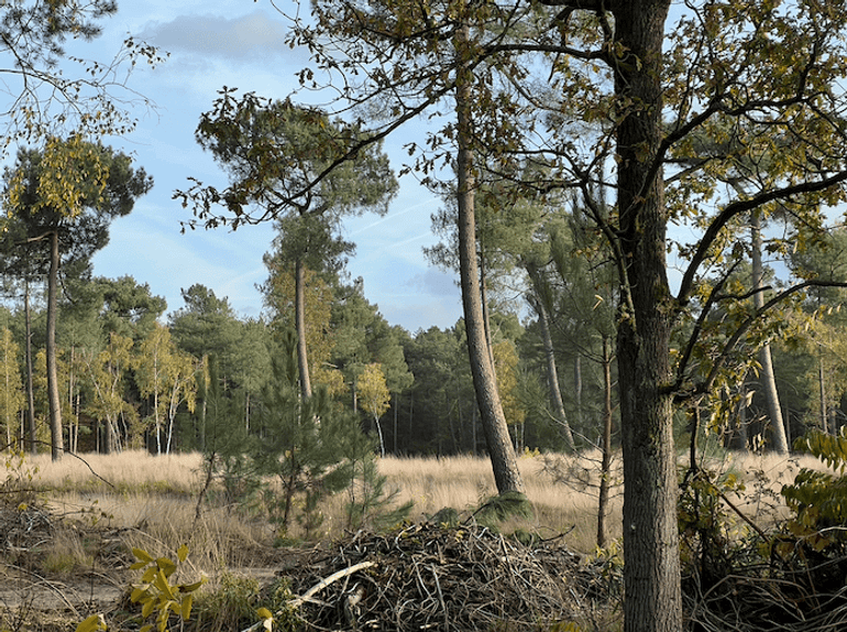 We weten van elke boom hoe die erbij staat