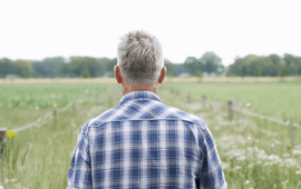 WWF Nederland lead bericht eiwitboeren