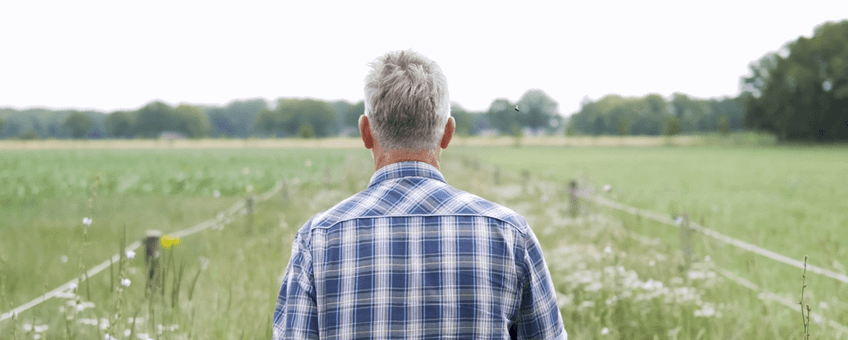 lead bericht eiwitboeren