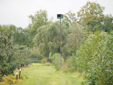 Roofvogel-nestkast aan het einde van een tuin