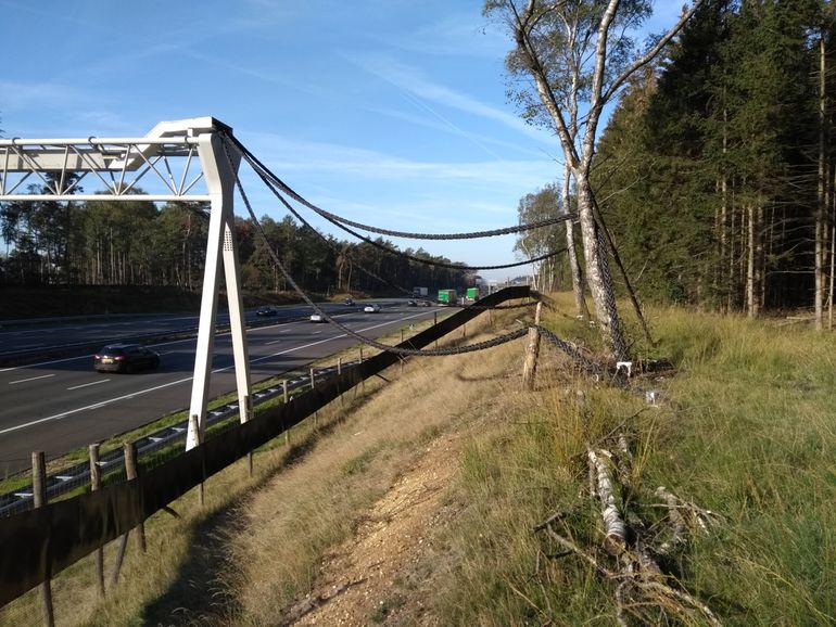 Aansluiting tussen de omgeving en het wegportaal door middel van touwen vanaf de grond en vanuit bomen. Tevens is het raster te zien dat de boommarters en eekhoorns naar faunaportalen, een ecoduct en onderdoorgangen moet leiden