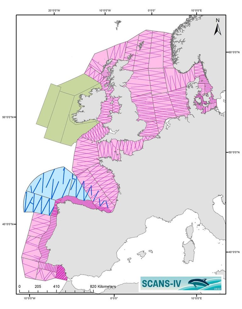 Getelde routes SCANS-IV. Roze = vliegtuigtelling, blauw = scheepstelling, groen = ObSERVE 2-survey 2021-2022
