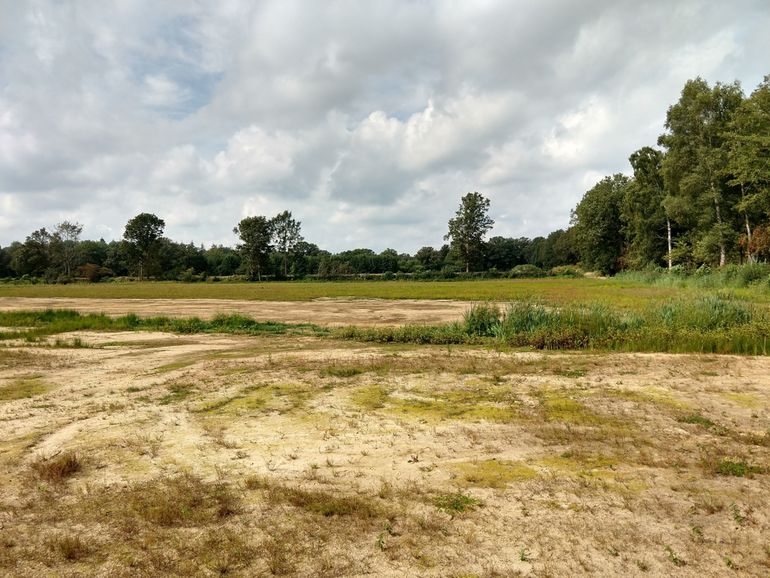 Vorig jaar nog landbouwgrond, nu verschijnt, na afplaggen, al snel de eerste vegetatie