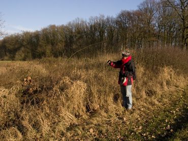 Struikjes afzoeken naar eitjes sleedoornpage