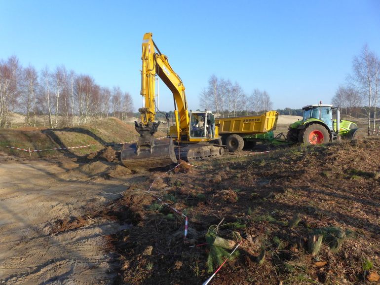 Plagwerk op het stuifzand: hiermee wordt het dominante mos Grijs kronkelsteeltje verwijderd en herstelt het extreme microklimaat op het open zand