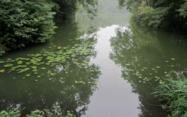 Kolk in park Westerveld bij Arnhem