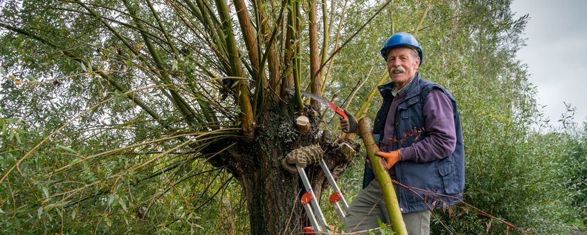 Jan Kempers, bezig met wilgen knotten (Nuenen)