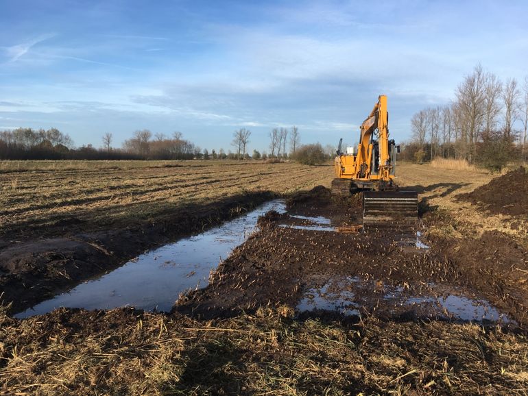 Aanleg leefgebied grote modderkruiper in Oud Schaik