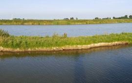 Jelger Herder Natuurvriendelijke oevers