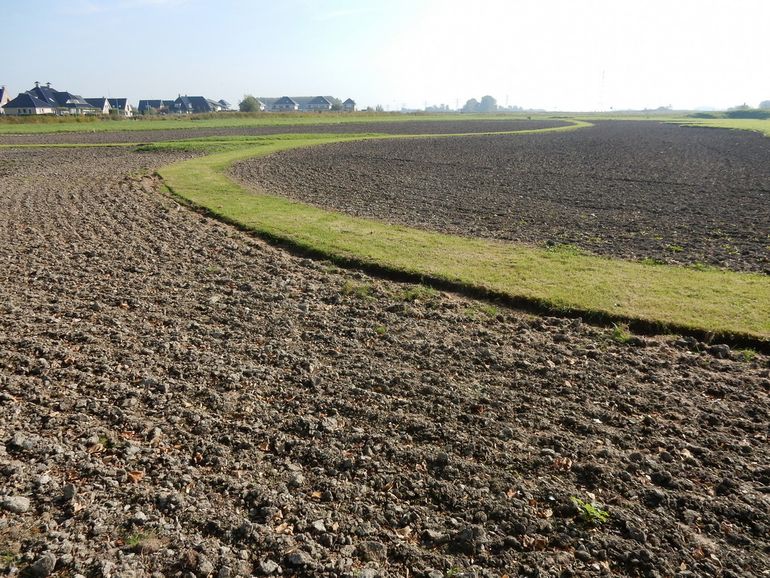 Over twee jaar is dit negenduizend vierkante meter duurzaam bloemrijk grasland voor vlinders, bijen en mensen