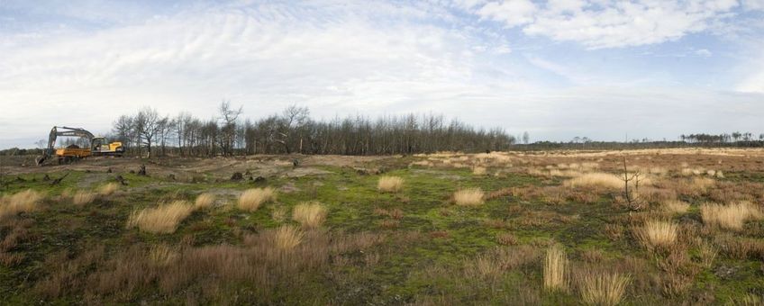 Herstel van Stuifzand op Strabrechtse Heide