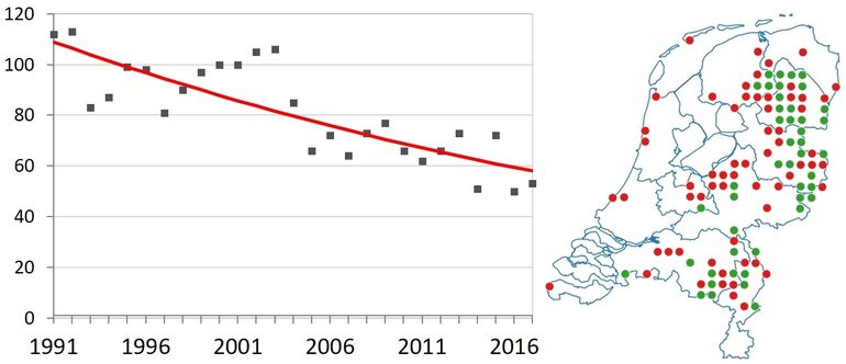 Trend van de maanwaterjuffer en de verspreiding in de periode 2000-2014 en vanaf 2015 (groen)