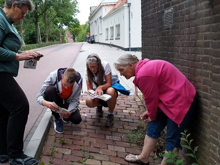 Participants of the 'Stoepplantjesonderzoek' survey in action