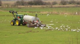 Bemeste landbouwgrond Ubbergen