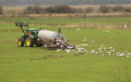 Bemeste landbouwgrond Ubbergen