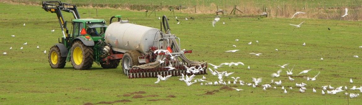 Bemeste landbouwgrond Ubbergen