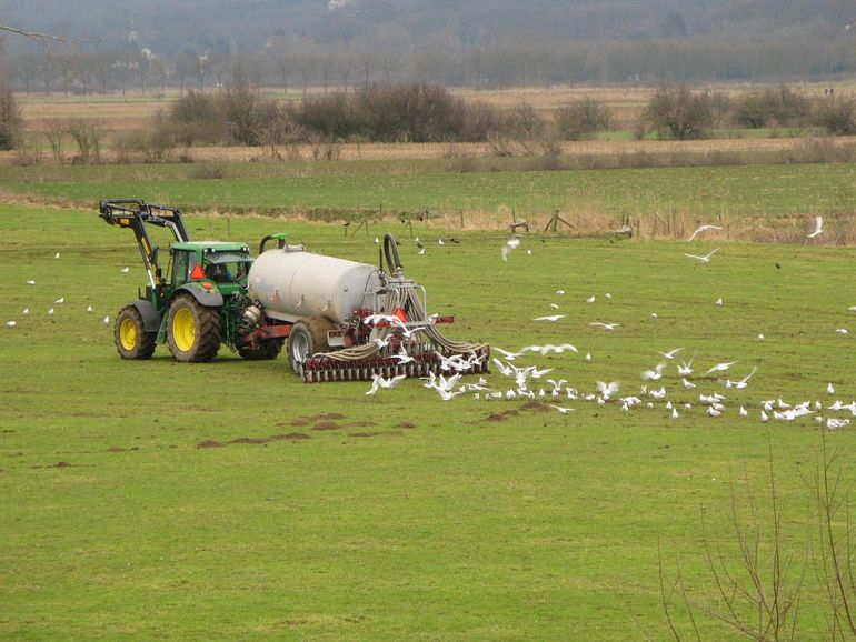 Bemeste landbouwgrond Ubbergen