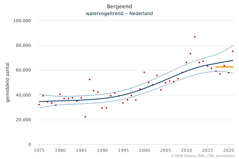 Seizoensgemiddelden van de bergeend in Nederland in de periode van 1975 tot 2020