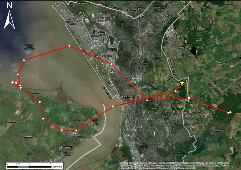 Vliegroute van de Zeearend uit de Dordtse Biesbosch op 24 februari 2021 vanaf de slaapplaats tot aan de windturbine (gele ster)