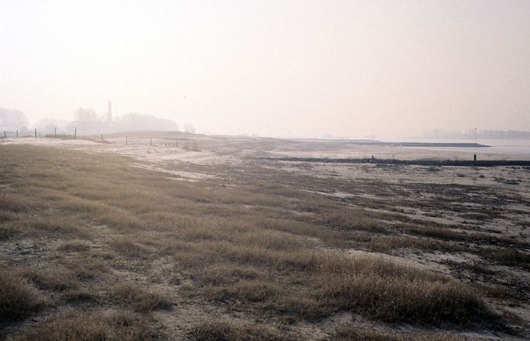 Millingerwaard tussen waar nu de theetuin is en de steenfabriek, op een winterse dag in 1987. Nu is hier het hoogste actieve rivierduin in Nederland en staan de wilgen tot op het strand