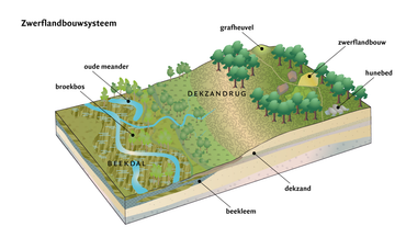 Een dwarsdoorsnede van een bodemprofiel, met onder andere waterstromen en verschillende lagen