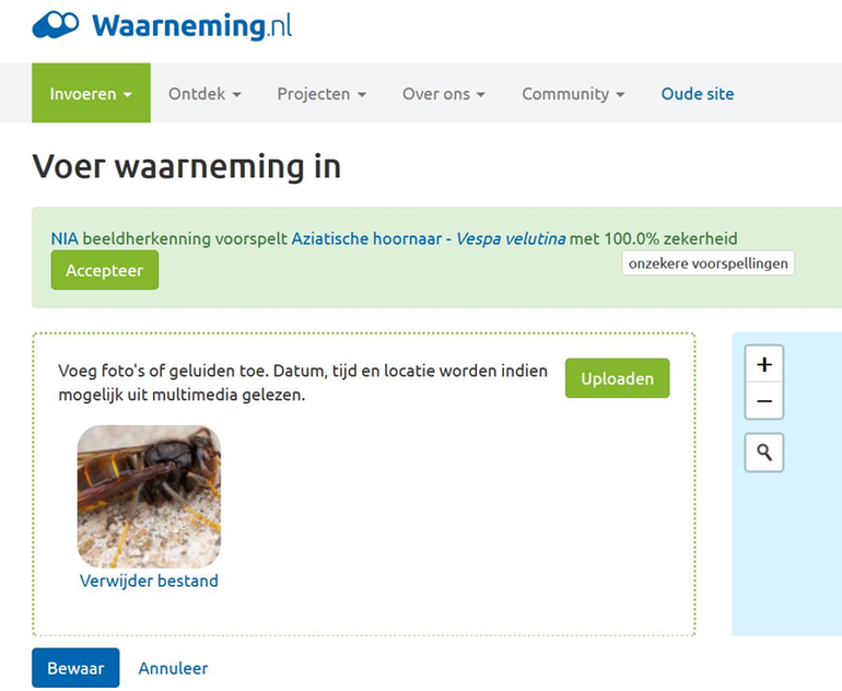 Beeldherkenning in waarneming.nl