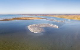 In het Grevelingenmeer liggen tientallen vogeleilandjes.