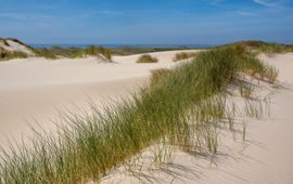 Noord-Hollandse duinen