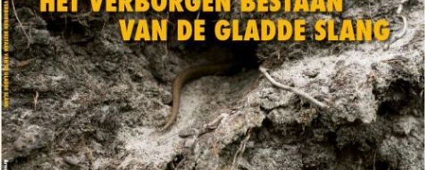 boekje gladde slang omslag