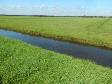 Only a small proportion of flora and fauna data stems from agricultural areas