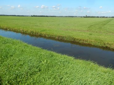 Intensief boerenland is minder soortenrijk en daar wordt veel minder geteld