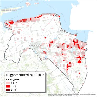Figuur 1. Gesommeerde aantallen Ruigpootbuizerds per kilometerhok in provincie Groningen vanaf januari 2010 tot en met december 2015. Waarnemingen van leden van Werkgroep Grauwe Kiekendief.
