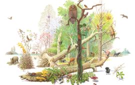 Wandelend bos