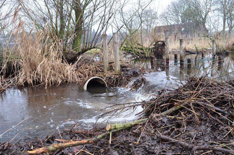 Een flow device in actie