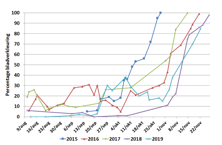 Verloop van het percentage bladverkleuring van de berk achter het Lumengebouw van Wageningen University in de jaren 2015 tot en met 2019