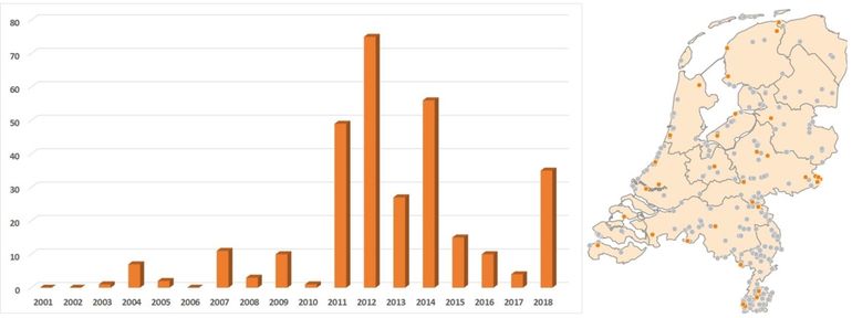 Kilometerhokken met waarnemingen van de grote vos tot en met april. Op het kaartje staan de locaties van 2018 in oranje