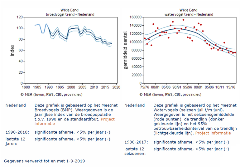 Aantalsontwikkelingen van de Wilde Eend in Nederland