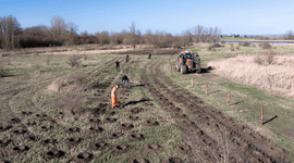 Het planten van nieuw bos in het Gat van Pinte