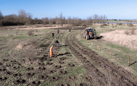 Het planten van nieuw bos in het Gat van Pinte