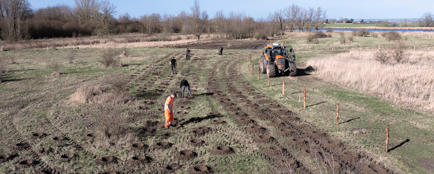 Het planten van nieuw bos in het Gat van Pinte