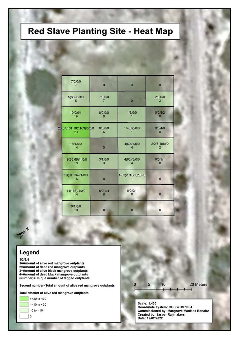 Voor alle grote aanplantgebieden werden de aantallen levende, dode en gemonitorde rode en zwarte mangroven geteld in een raster en weergegeven in een hittekaart