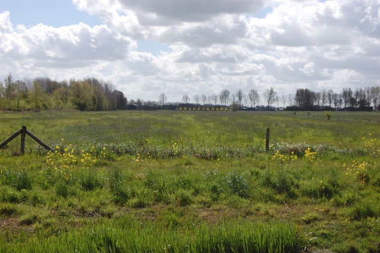 Natuurproject bij Geldermalsen