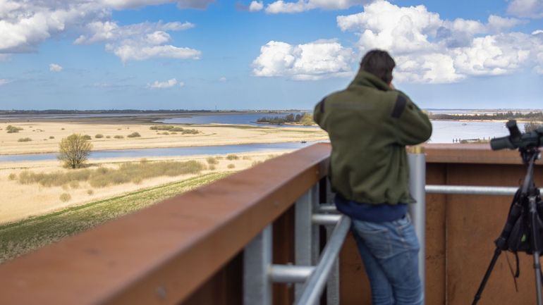 Het zesduizend hectare tellende Natura 2000-gebied bestaat voor de helft uit water en voor de helft uit land