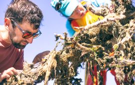 NIOZ Jon Dickson and Dorien Luttikhuis with tree reefs